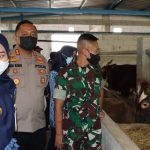 Pencegahan Virus PMK Kapolres Demak Bersama Forkopimda cek Kandang Sapi dan Kerabau IMG-20220517-WA0030