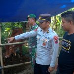 TNI-Polri Imbau Pedagang Hewan Kurban Waspada, Marak Pencurian Jelang Idul Adha WhatsApp Image 2024-06-06 at 17.01.38 (3)