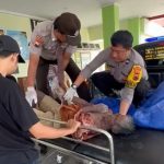 Bhabinkamtibmas Evakuasi Kakek yang Berendam di Sungai selama Dua Hari WhatsApp Image 2024-09-13 at 12.24.08